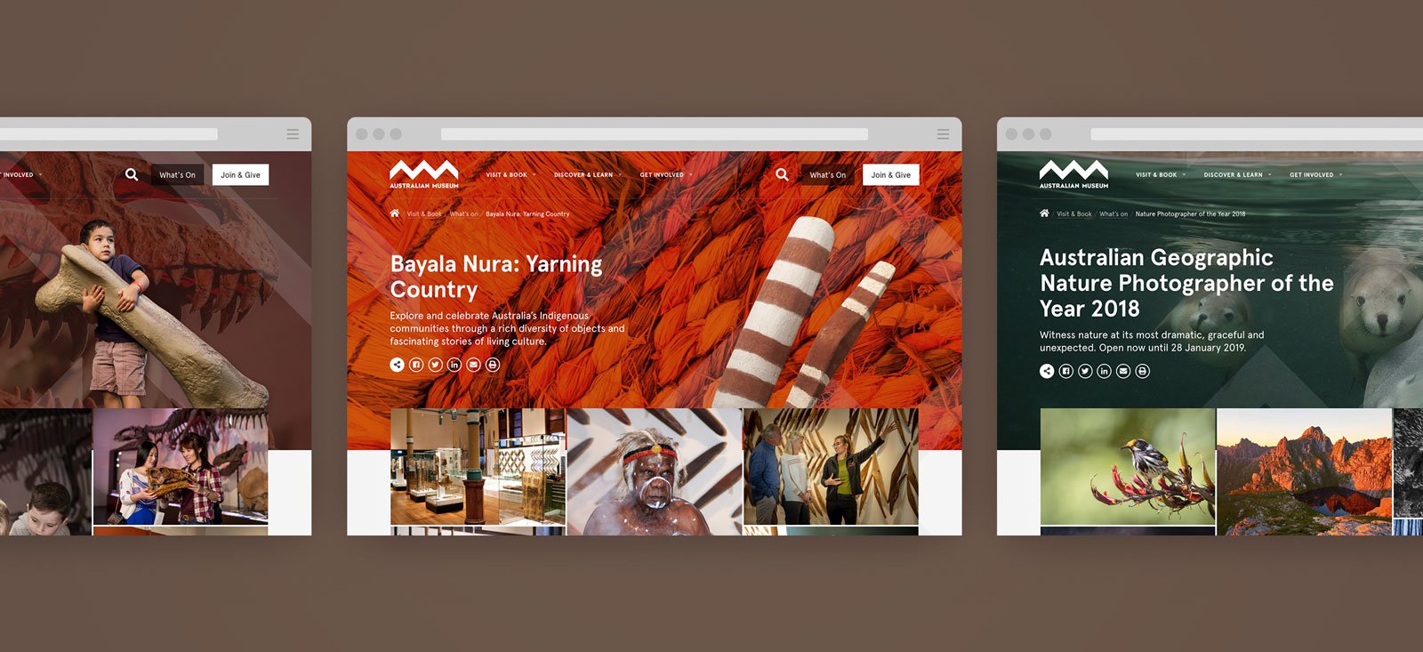 Screenshots of the Australian Museum Website