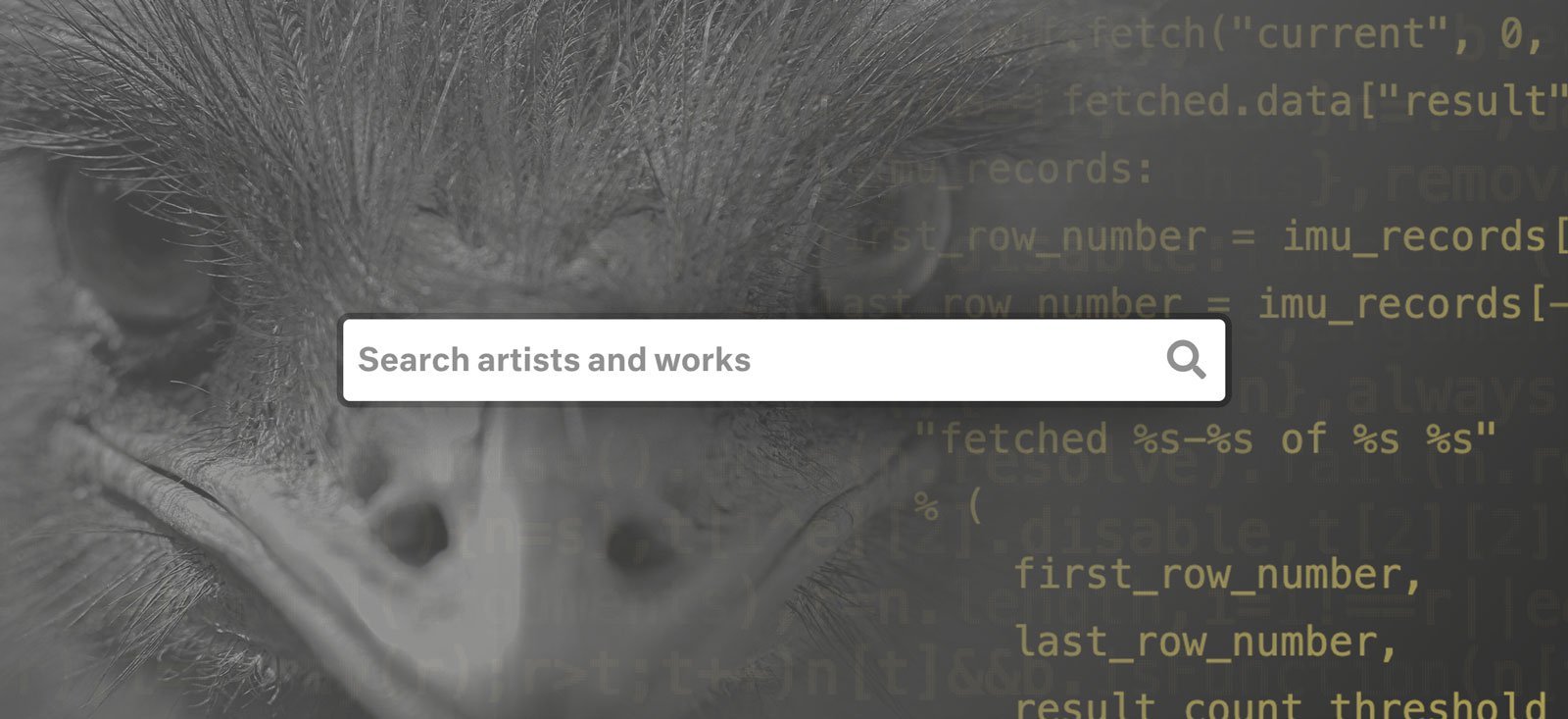 Closeup of an Emu with Python code and a search bar overlaid on top