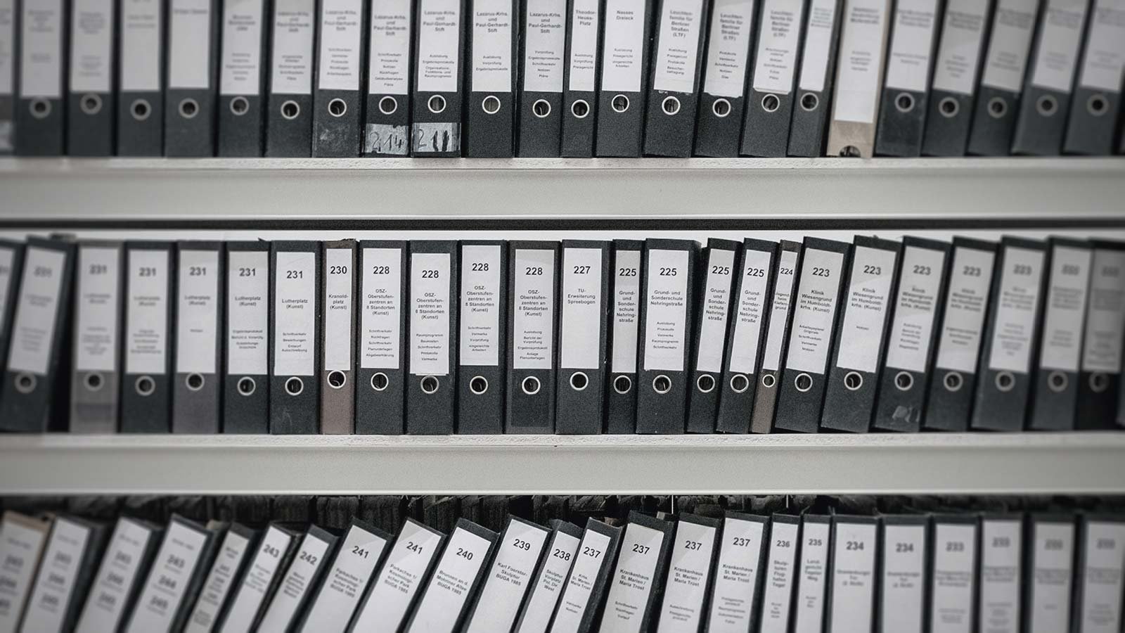 Shelves full of ring binders